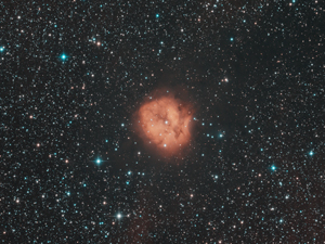 IC 5146, la nébuleuse du Cocon