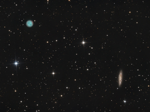 Un hibou et une planche de surf