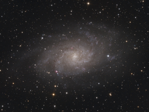 M 33