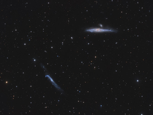 NGC 4631 / 4627 / 4657 / 4656