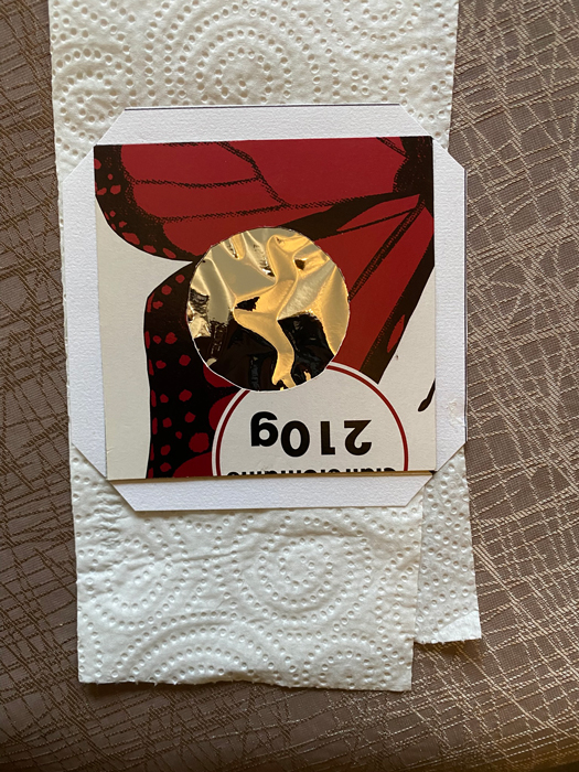 pose de la face arrière