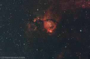 IC 1795
